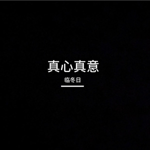 在百德新街的爱侣