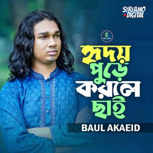 হৃদয় পুড়ে করলে ছাই