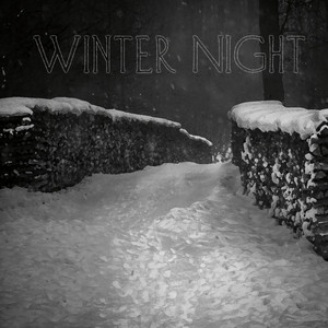 Winter NIght