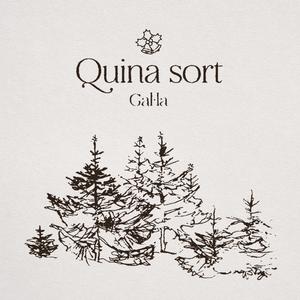 QUINA SORT (Nadala)