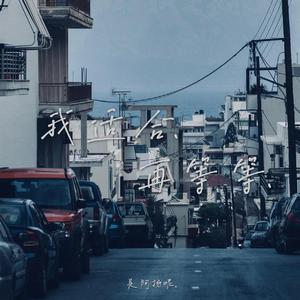 我适合再等等（翻自 是阿扬呢）