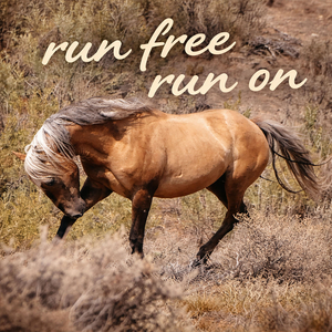 Run Free, Run On