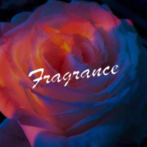 Fragrance（Original Mix）