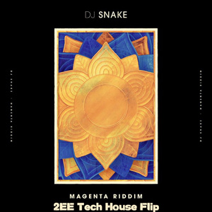 DJ Snake - Magenta Riddim（2EE Tech House Flip）