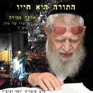 התורה היא חייו