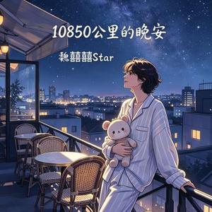一万零八百五十公里的晚安
