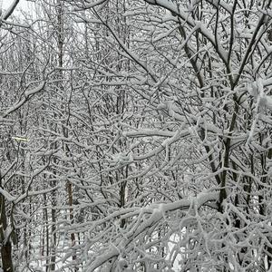 Huono Häviäjä (feat. Homerun!)