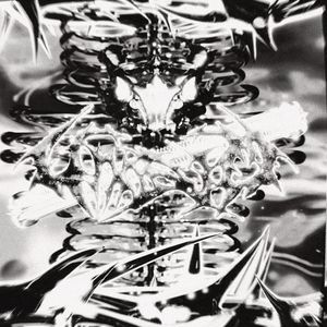 Who Wanna Beef Me FREESTYLE