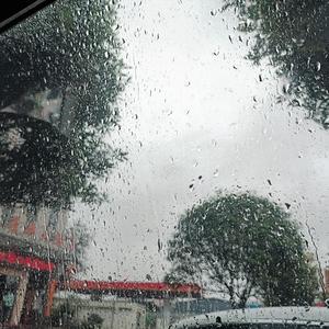 我的心在海对面