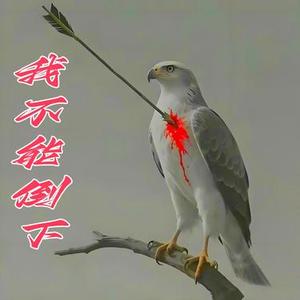 我不能倒下