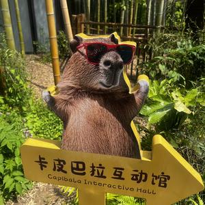 卡皮巴拉发呆日记