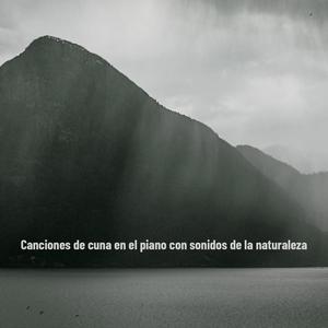 Relajante canción de piano