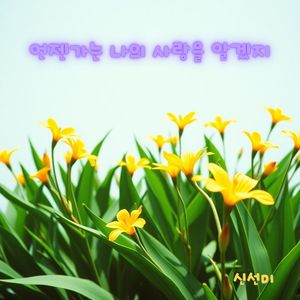 언젠가는 나의 사랑을 알겠지