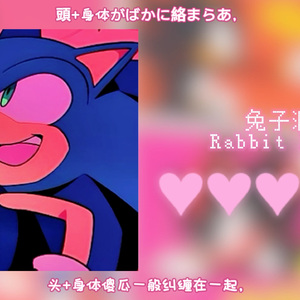 ai sonic（兔子洞）ラビットホールRabbit Hole