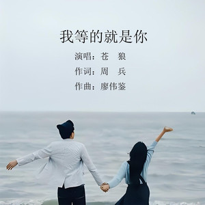 我等的就是你