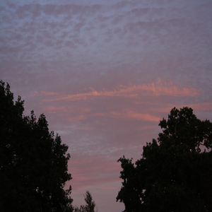 Je suis, tu es, nous sommes