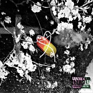 tmrw (ThIS is The enD)