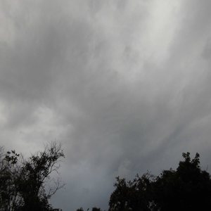 心なんて