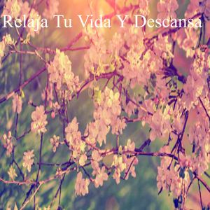 Organiza Tus Rutinas Diarias