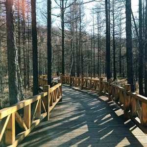 我们向往的安宁