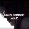 侧脸2025 (说唱加速版)
