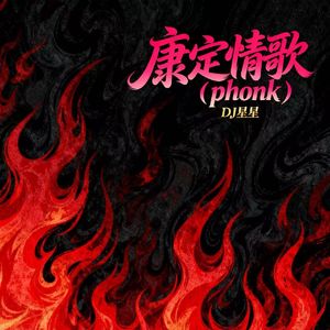 康定情歌 (phonk)