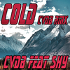 Cvdb - Cold (Instrumental Cvdb Rmx)