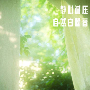 NO.1 自然白噪音 古典吉他 海浪 大海 海鸟 助眠失眠