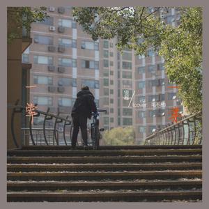 一荤一素（cover：毛不易）