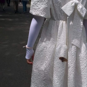 逐风（prod by：Youngkyle）