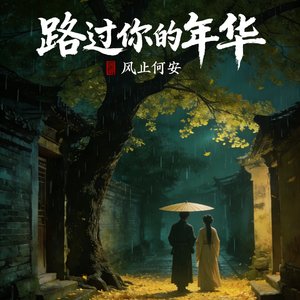 路过你的年华