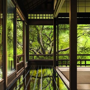 是妈妈的女儿（bgm版）