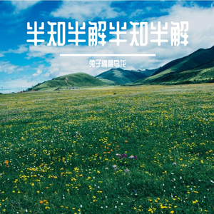半知半解
