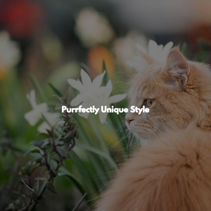 Bubbly Ambiance for Morning Boosters