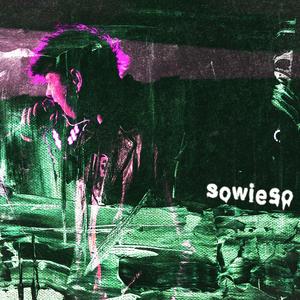 sowieso (feat. remote)
