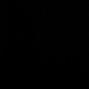 …………………………