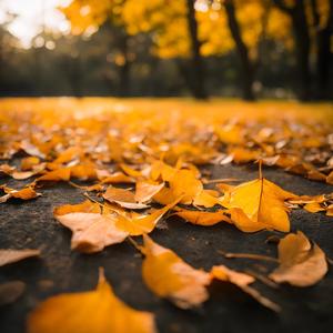 难忘曾经难忘你