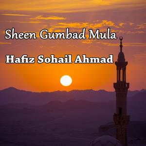 Mulaya Sawli Wasaalam