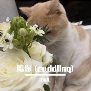 陪你（Cuddling)