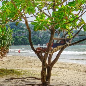 适合旅馆器乐音乐