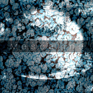 Mescaline (Original Mix)