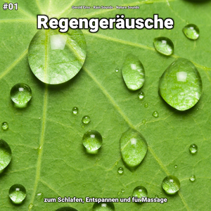 Regengeräusche, pt. 18