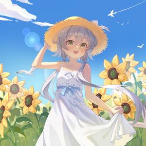 可我的心还留在盛夏