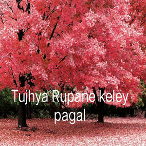 Tujhya Rupane Keley Pagal