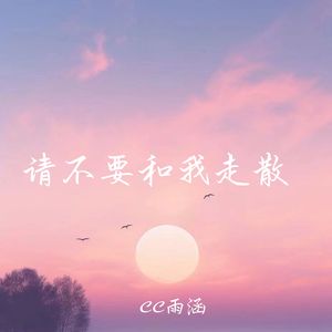 请不要和我走散