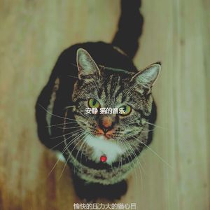 微妙的可爱的猫心情