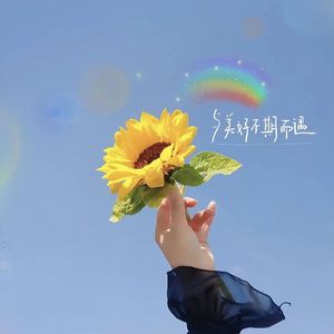 面汤