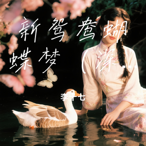 李十七-新鸳鸯蝴蝶梦