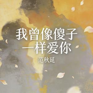 我曾像傻子一样爱你