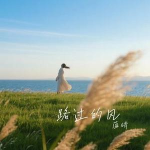 路过的风